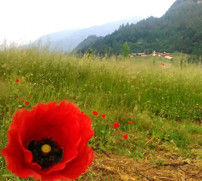 Agritur Cornasest Bed & Breakfast Breguzzo Екстериор снимка